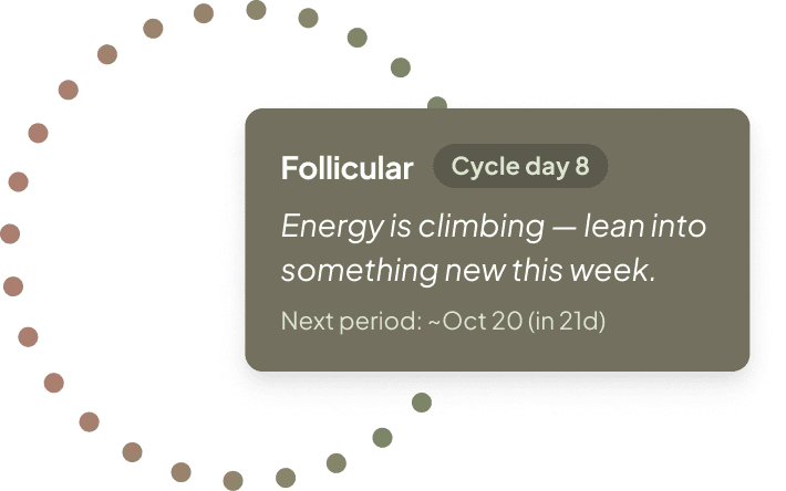 A circular cycle visualization with a Follicular phase card and a line of phase guidance.